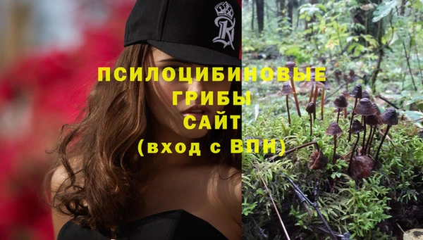 a pvp Михайловка