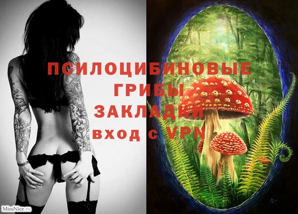 a pvp Михайловка