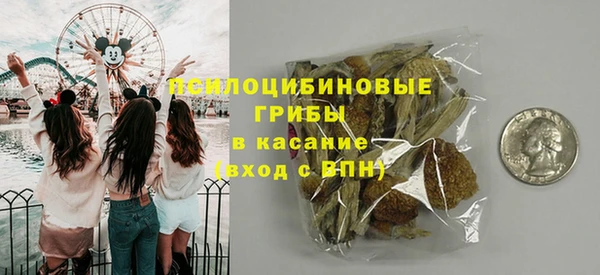 стаф Михайловск