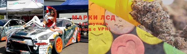 стаф Михайловск